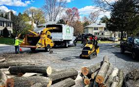 Best Emergency Tree Removal  in Wade Hampton, SC